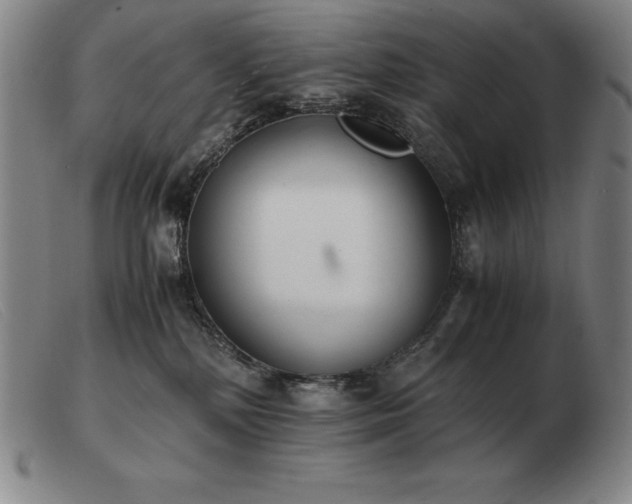 X0000103480232200809191906