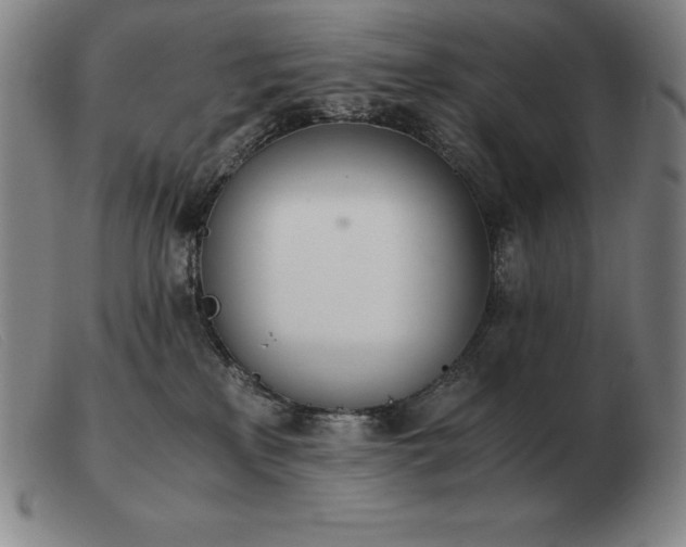 X0000103480233200809191906