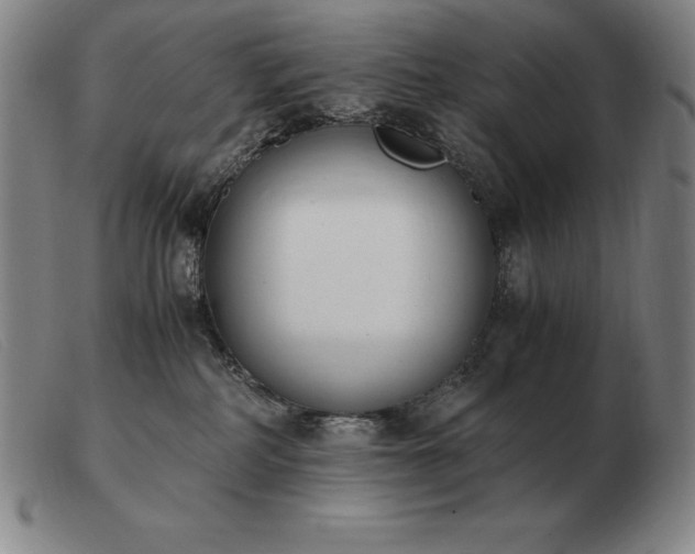 X0000103480234200809191906