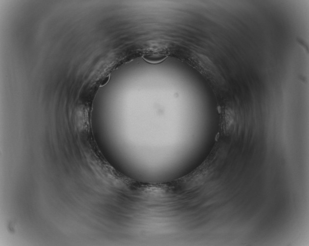 X0000103480236200809191906