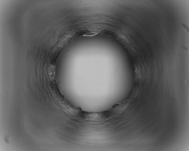 X0000103480237200809191906