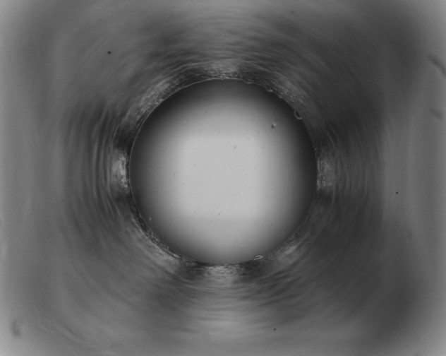 X0000103480238200809191906