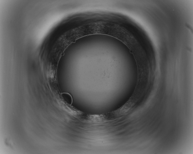 X0000103480239200809191906