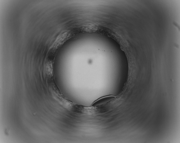 X0000103480240200809191906
