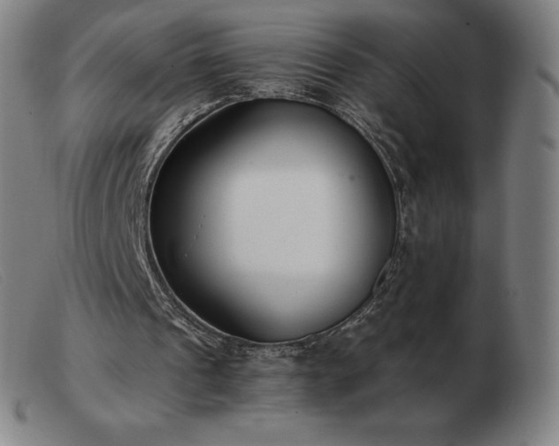 X0000103480241200809191905