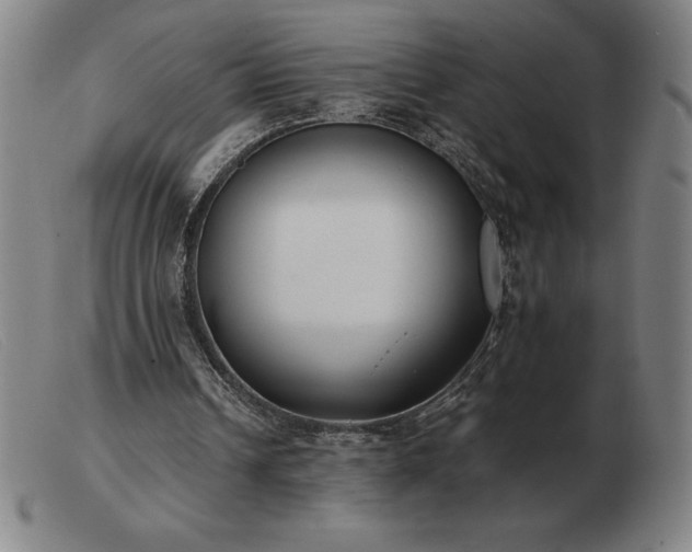 X0000103480242200809191905