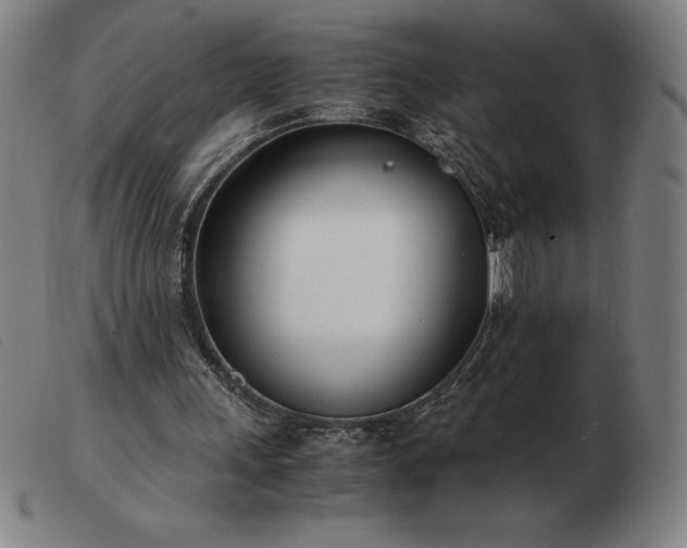 X0000103480243200809191905