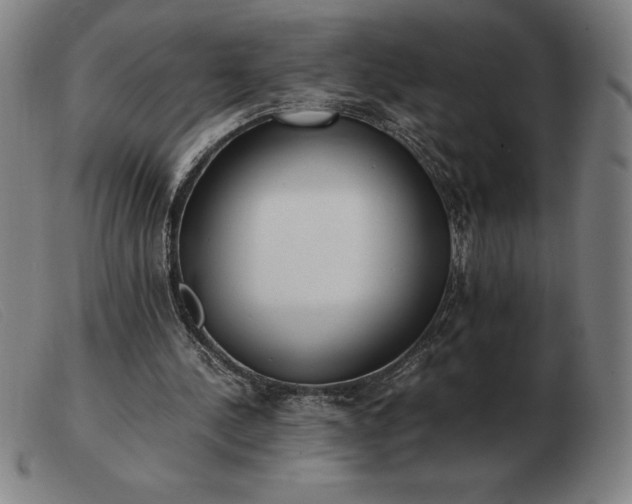 X0000103480244200809191905