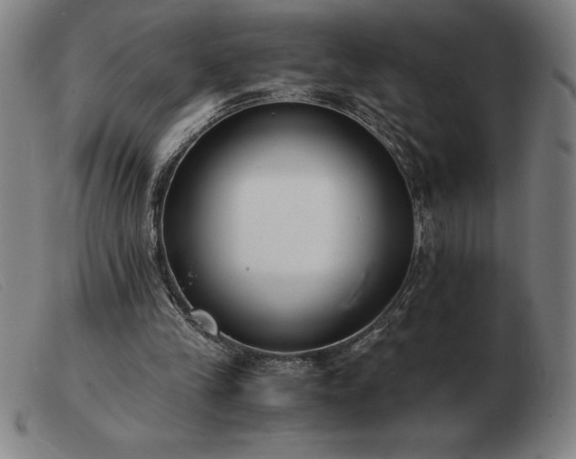 X0000103480245200809191905