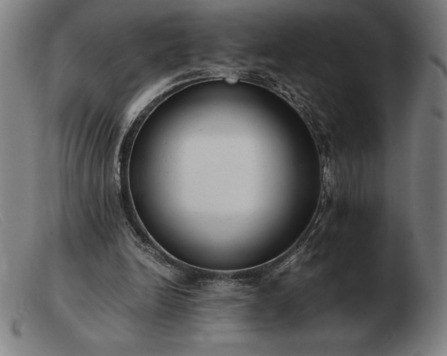 X0000103480246200809191905