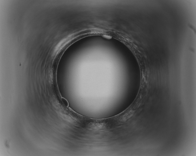 X0000103480247200809191905