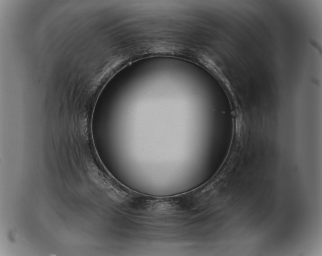 X0000103480249200809191905