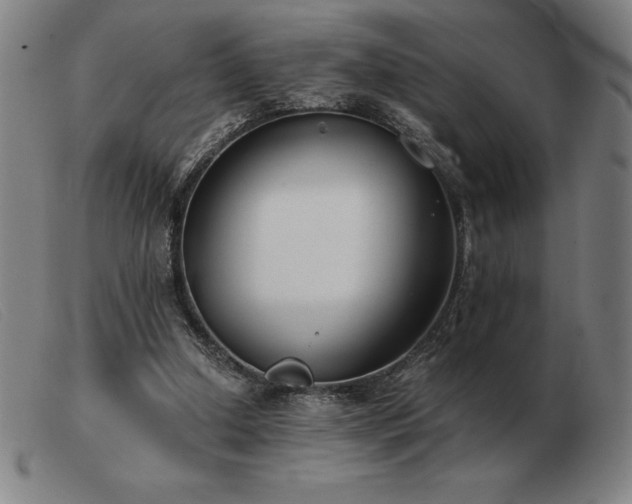 X0000103480250200809191905