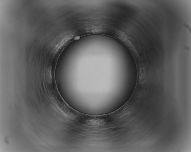 X0000103480251200809191905