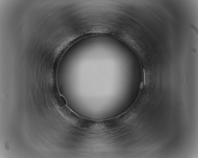 X0000103480252200809191905
