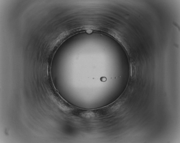 X0000103480253200809191905
