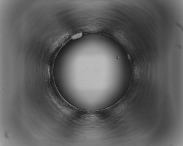 X0000103480254200809191905