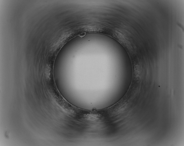 X0000103480255200809191905