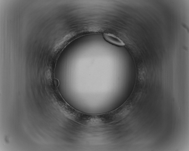 X0000103480256200809191905