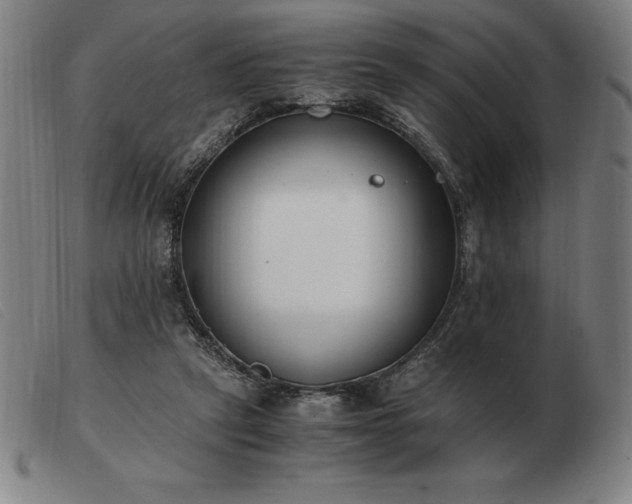 X0000103480257200809191905