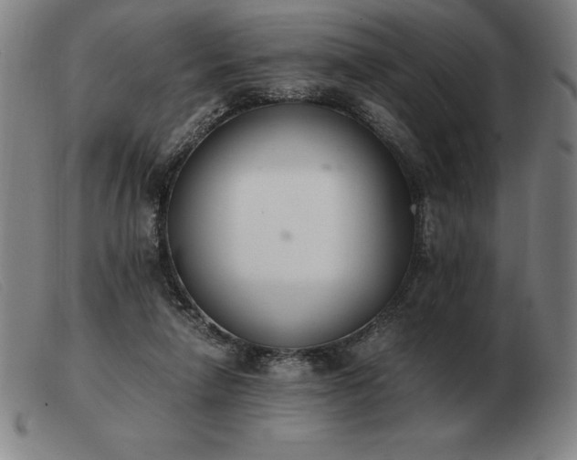 X0000103480258200809191905
