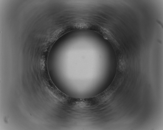 X0000103480259200809191905