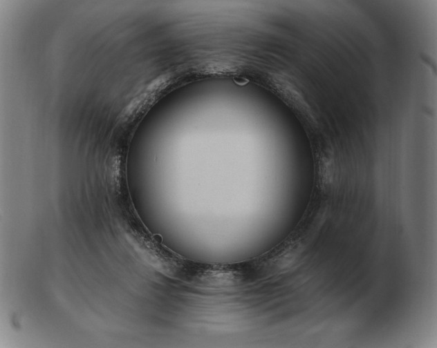 X0000103480260200809191905
