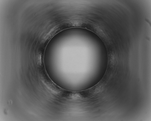 X0000103480262200809191906