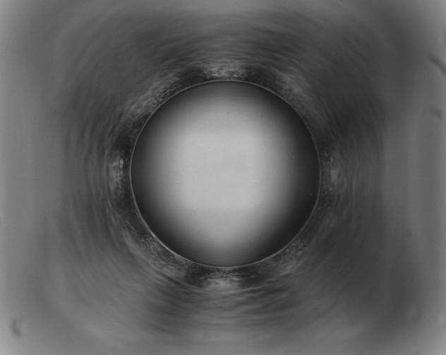 X0000103480263200809191906