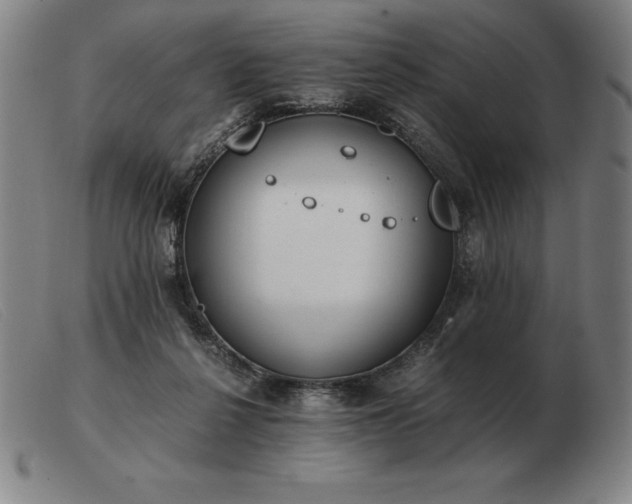 X0000103480264200809191906