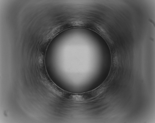 X0000103480265200809191906