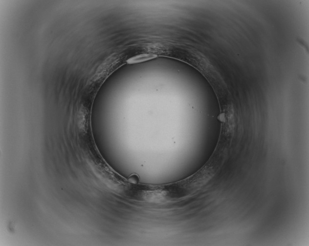X0000103480266200809191906