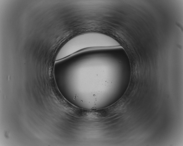 X0000103480268200809191906