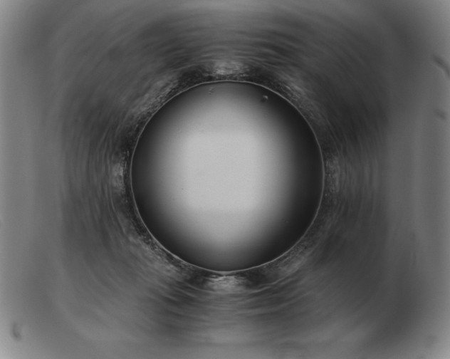 X0000103480269200809191906