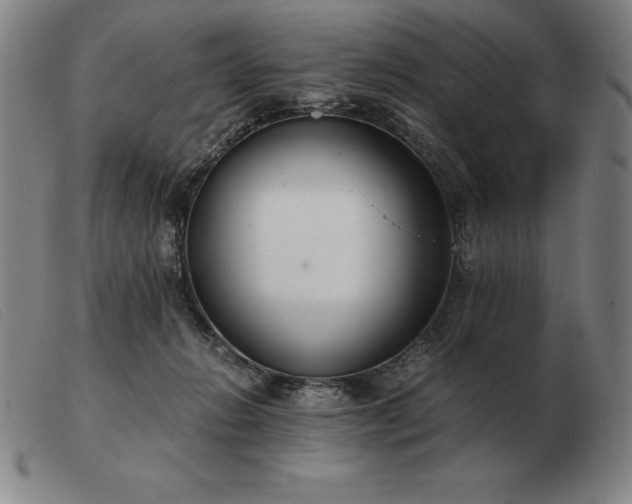 X0000103480270200809191906