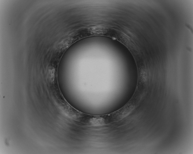 X0000103480271200809191906