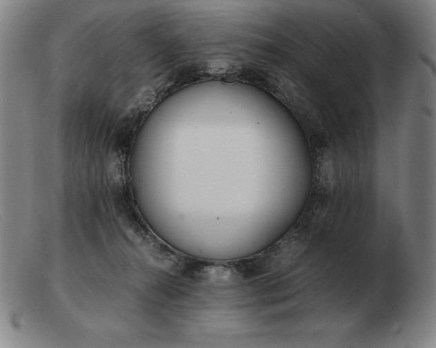 X0000103480272200809191906