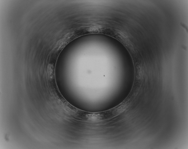 X0000103480273200809191906