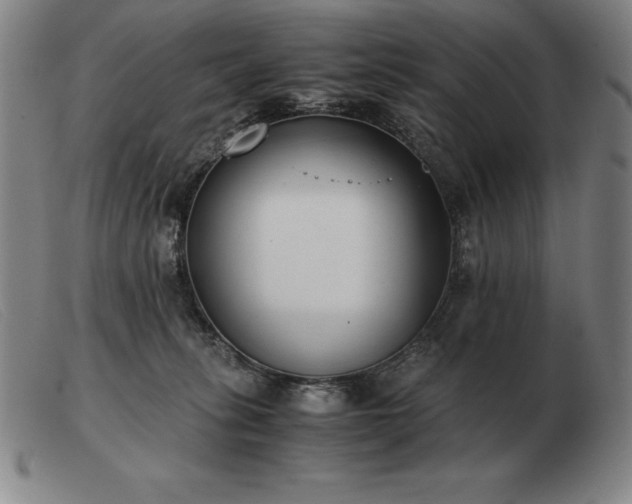X0000103480275200809191906