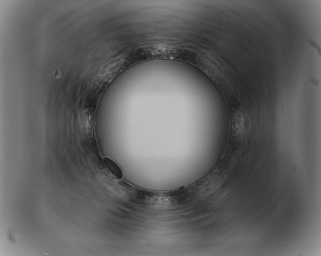 X0000103480276200809191906