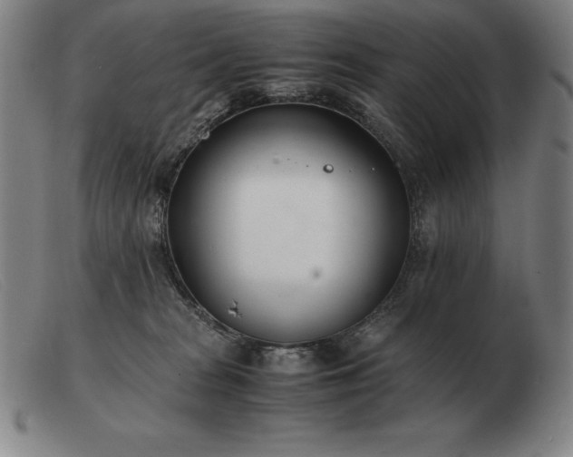 X0000103480277200809191906