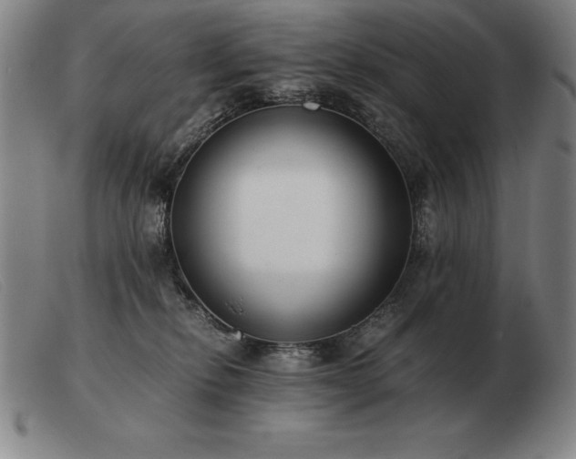 X0000103480278200809191906