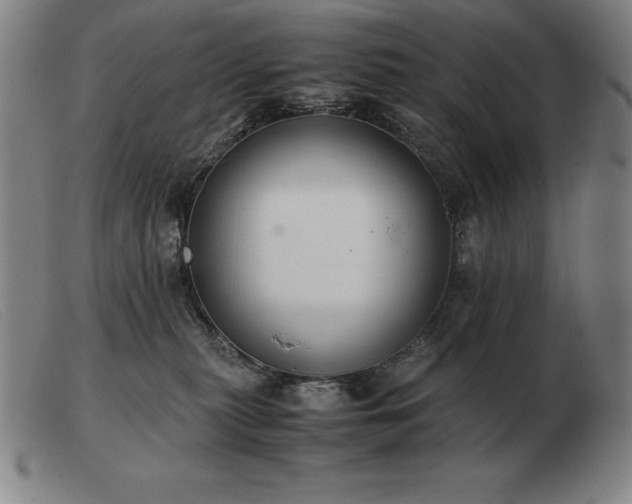X0000103480279200809191906