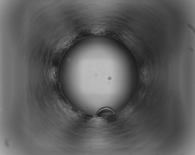 X0000103480280200809191906