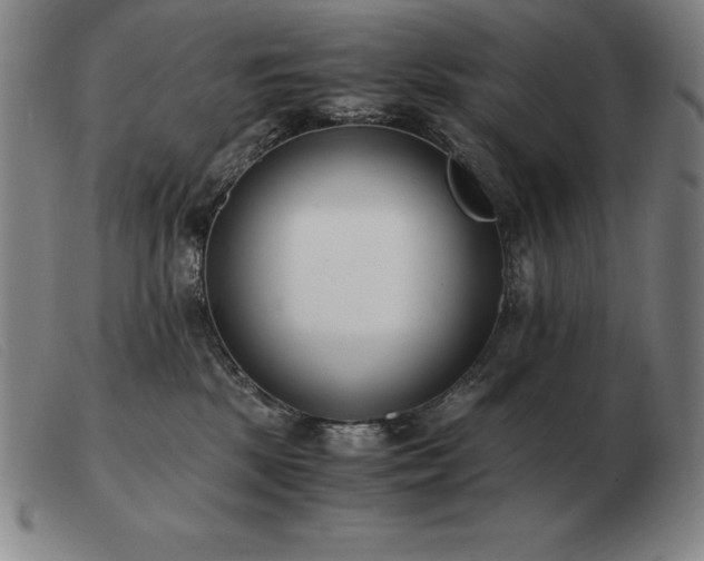 X0000103480281200809191906