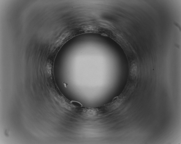 X0000103480282200809191906