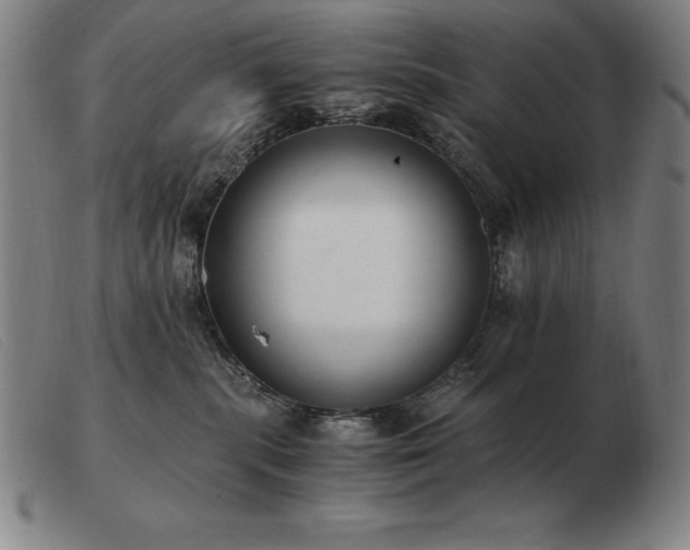 X0000103480283200809191906