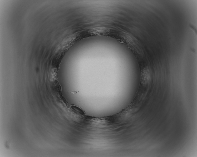 X0000103480284200809191906