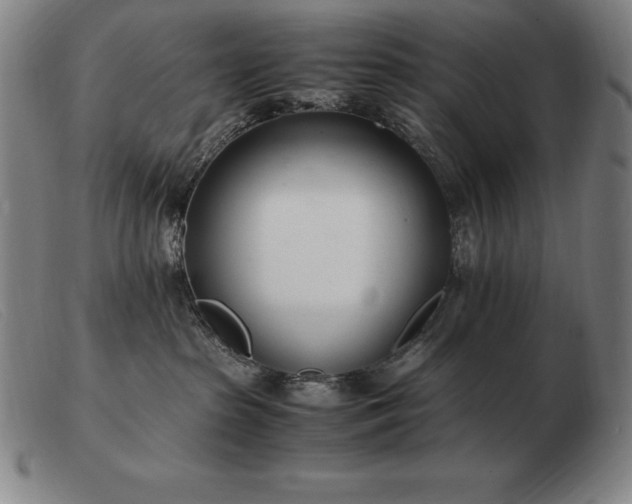 X0000103480285200809191906