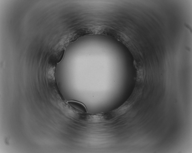 X0000103480286200809191906